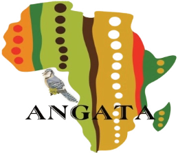 Angata